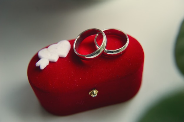 Rolin Roly White Ring Box with LED Light Rose India | Ubuy