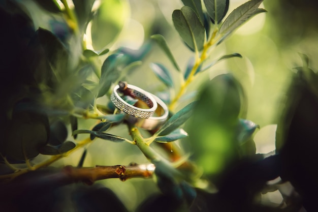 結婚指輪。ホワイトとイエローゴールドのジュエリー。緑の結婚指輪