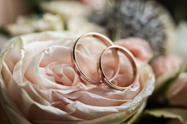 Photo wedding rings lie on a beautiful bouquet as bridal accessories