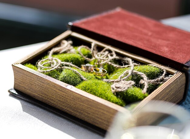 Wedding rings lie in a beautiful box