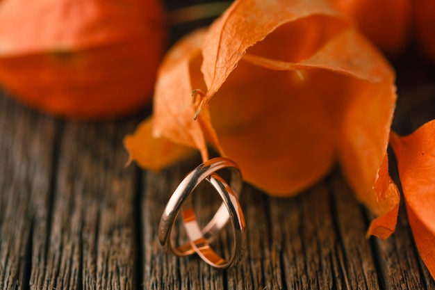 Wedding Rings on Red Autumn Leaves