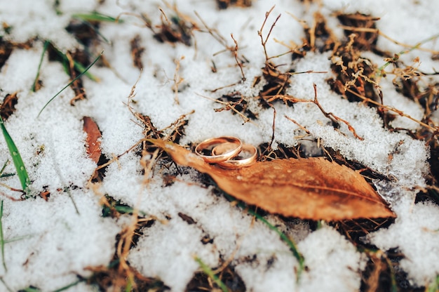 Wedding rings on the snow