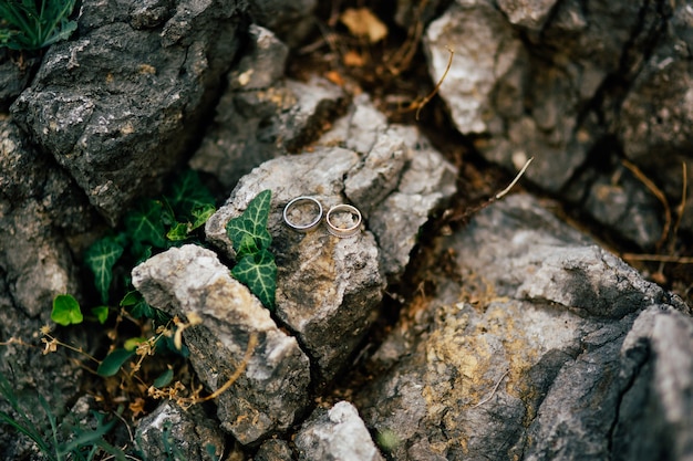 Wedding rings on the stones in the grass