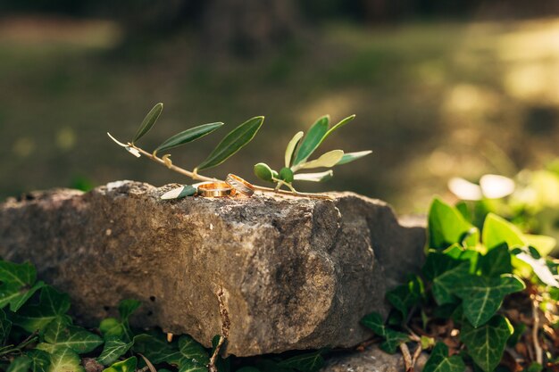 Wedding rings on the stones in the grass