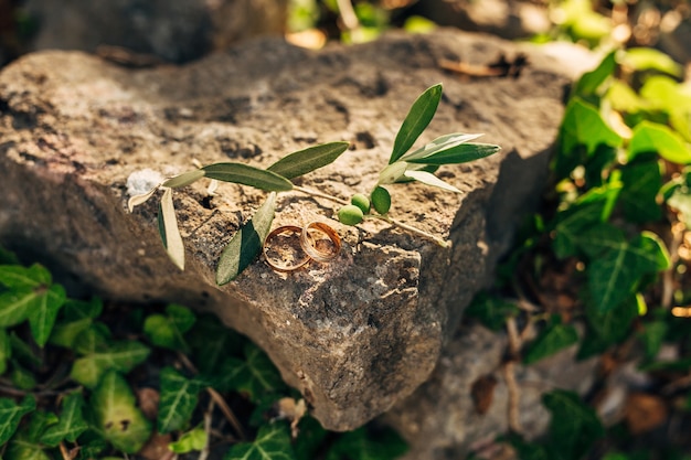 Wedding rings on the stones in the grass