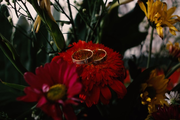 結婚指輪のシンボルは家族を愛しています。シンプルな結婚指輪のペア