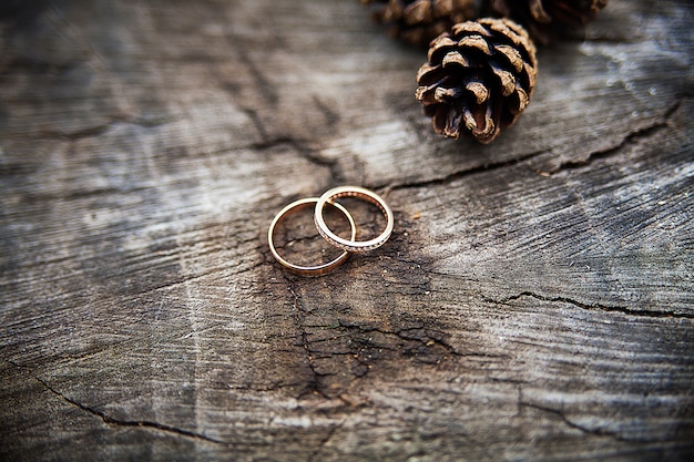 Wedding rings on a tree stump showing the rings of the tree