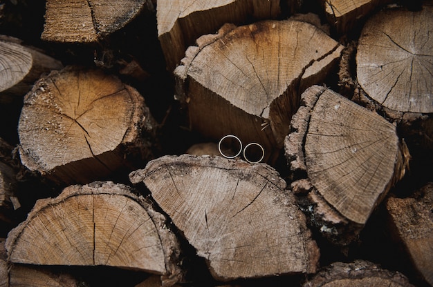 Fedi nuziali sull'albero. giorno del matrimonio. fedi nuziali sul legno.