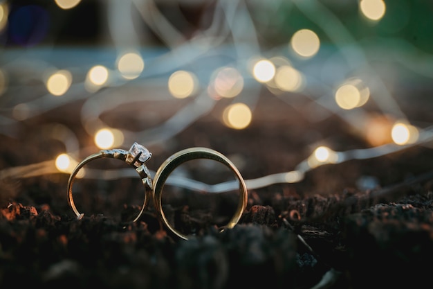 Wedding rings,vintage picture style