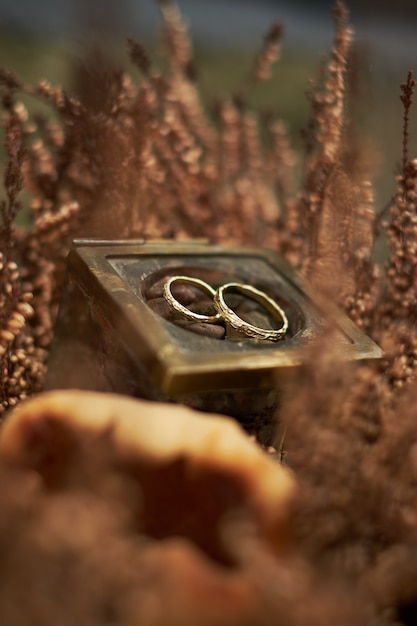 Wedding rings yellow gold on a brown background plants in the autumn season