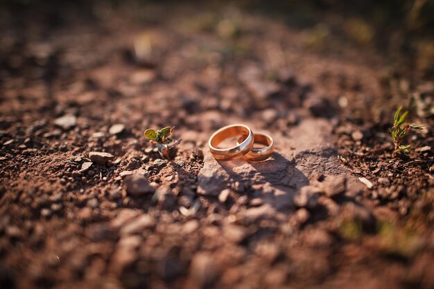 Wedding rings