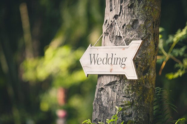 Photo wedding sign on tree