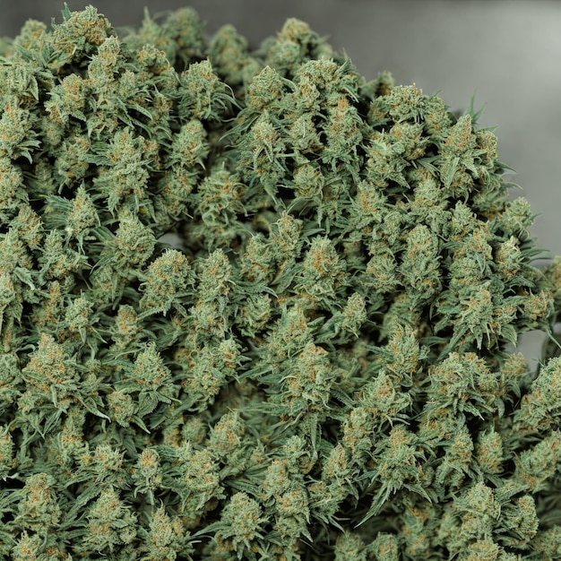 Weed, cannabis closeup view