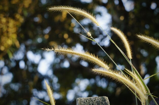 The week on eyeem