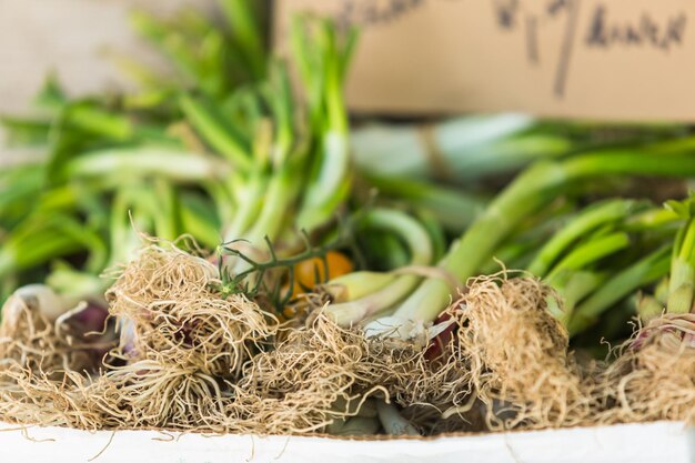 Weekend shopping on the Farmers Market in the Summer.