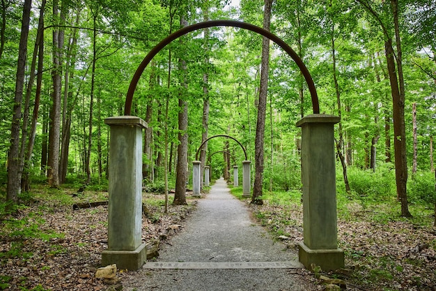 Weelderig groen bos omringd door een rij bogen langs een bospad door het park