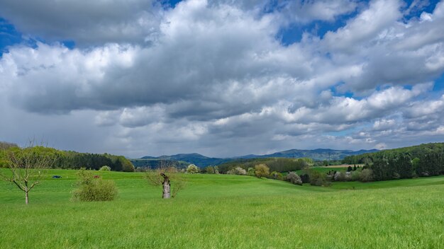 Weelderig groen landschapslandschap