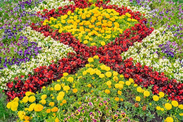 Weelderige bloembedden in de zomertuin. Een heldere zonnige dag. Brede foto.