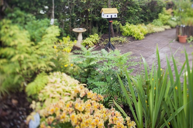 Foto weelderige groene tuin