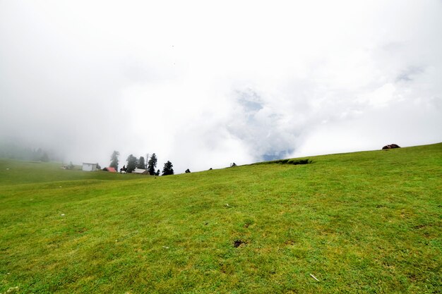 Weelderige groene weiden van Kasjmir, Pakistan