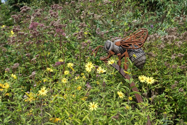 Weergave van een Bee-kunstinstallatie in Dunloran Park Tunbridge Wells