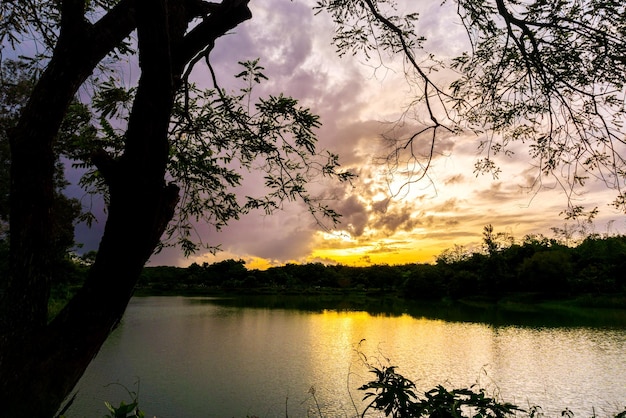 Weergave van kleurrijke dramatische hemel zonsondergang of zonsopgang met wolken achtergrond op Water River in Forest, Sky met cloud in de natuur en reizen concept.