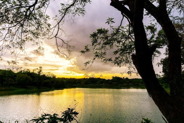 Weergave van kleurrijke dramatische hemel zonsondergang of zonsopgang met wolken achtergrond op Water River in Forest, Sky met cloud in de natuur en reizen concept.