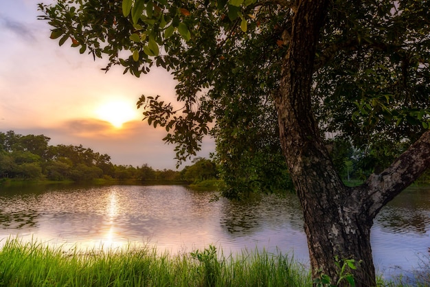 Weergave van kleurrijke dramatische hemel zonsondergang of zonsopgang met wolken achtergrond op Water River in Forest, Sky met cloud in de natuur en reizen concept.