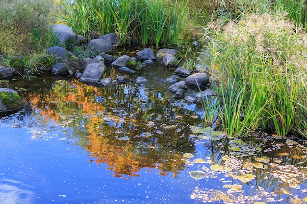 weerspiegeling van herfstgebladerte in de rivier