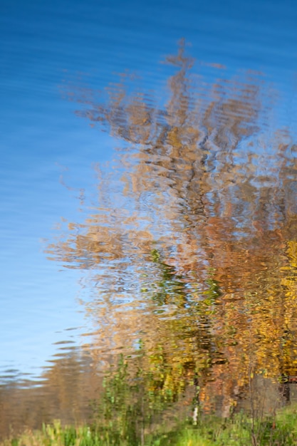 Foto weerspiegeling van het herfstpark in waterrimpelingen
