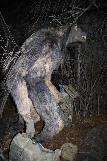 Weerwolf staat in profiel tussen duisternis en takken in het Bestiary Museum - Sint-Petersburg, Rusland, juni 2021.