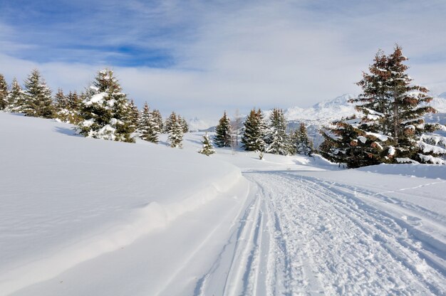 Weg die sparren in sneeuwlandschap in alpiene berg in de winter kruisen