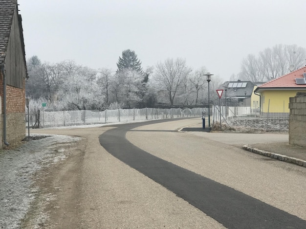 Weg door bomen tegen een heldere lucht in de winter