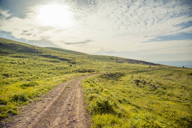 Weg door groen veld