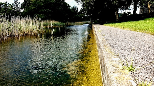 Foto weg door het bos.