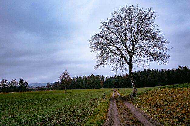 Foto weg door het veld