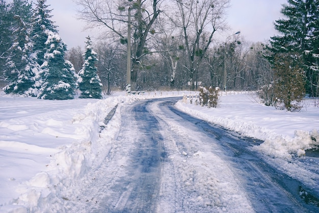 Weg door park op winterdag