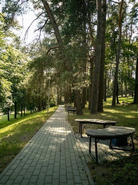 Foto weg en banken in het stadspark