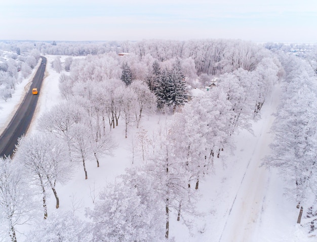 Weg en bomen in de winter in het dorp