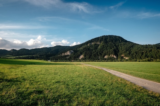 weg in bergdal op zonnige ochtend in Polen.