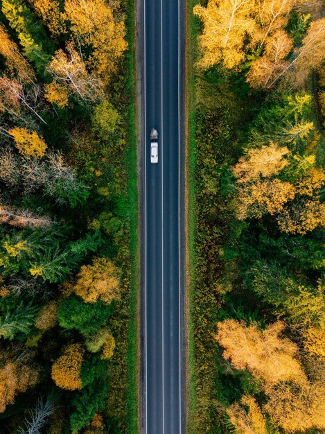 Weg in de gekleurde herfst bos luchtfoto