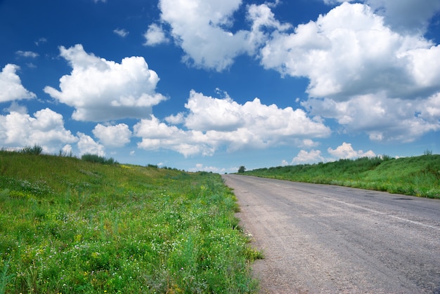 Weg in de groene weide