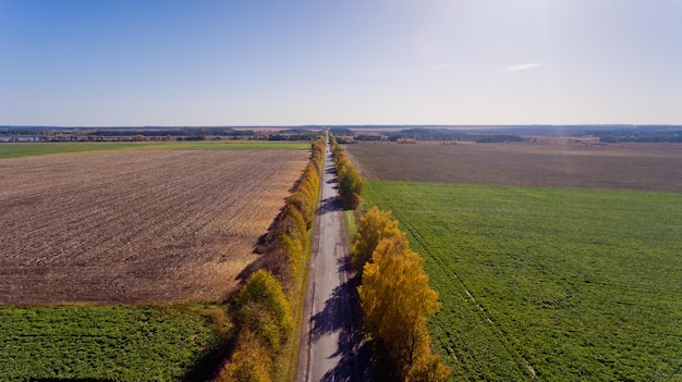 Weg in de heldere herfst Luchtfoto