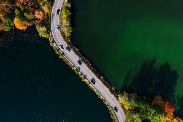 Weg in de herfst bos luchtfoto met meer