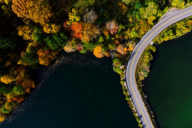 Foto weg in de herfst bos luchtfoto met meer