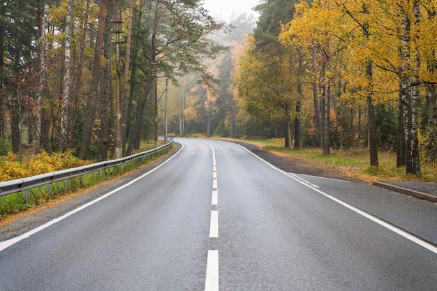 Weg in de herfst bos snelweg prachtige herfst natuur gele bomen en oktober hoge kwaliteit foto