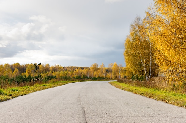 Weg in de herfstbos op een zonnige dag