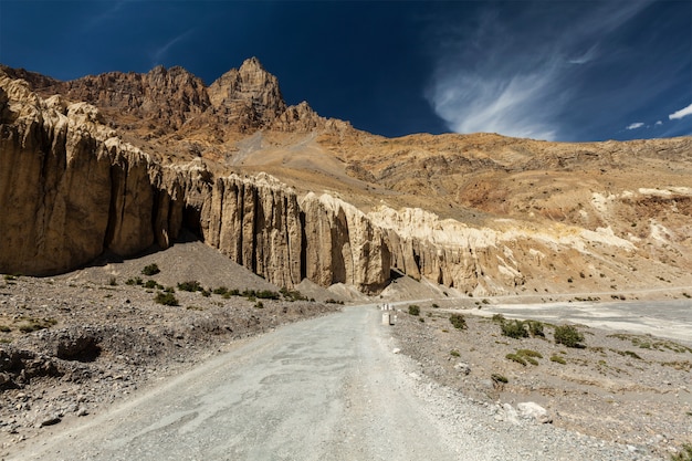 Weg in de Himalaya