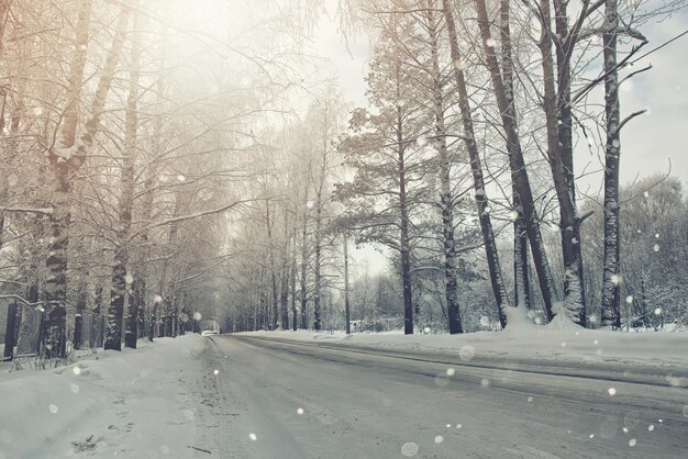 Weg in de sneeuwstorm winter