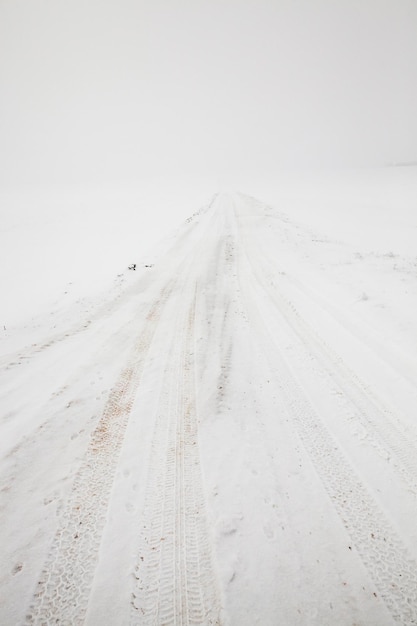 Weg in de winter